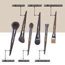 SKM Pro Series 20 Brushes