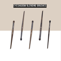 SKM Pro Series 20 Brushes